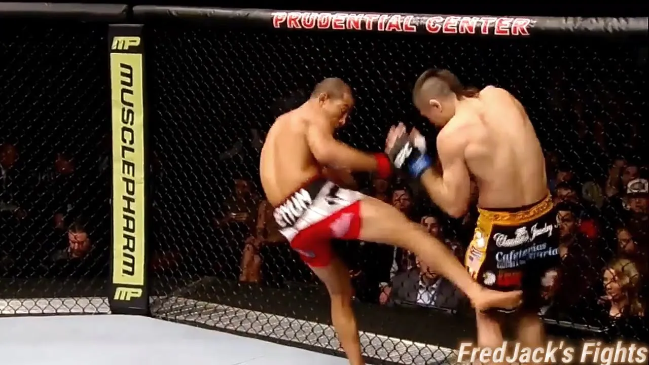 Jose Aldo Displays His Beautiful Combinations And Powerful Kicks #ufc