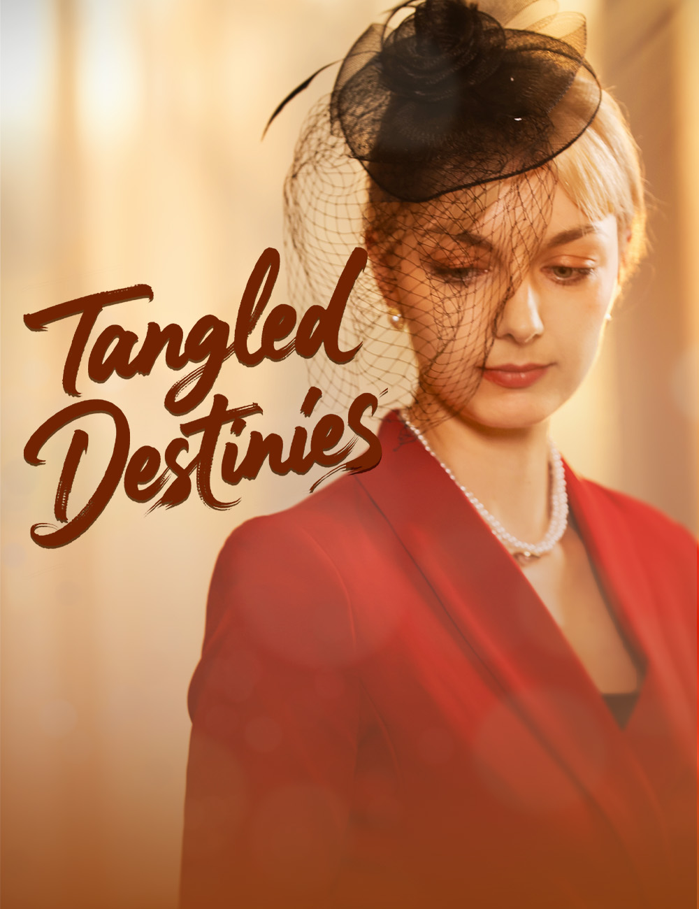 Tangled Destinies poster