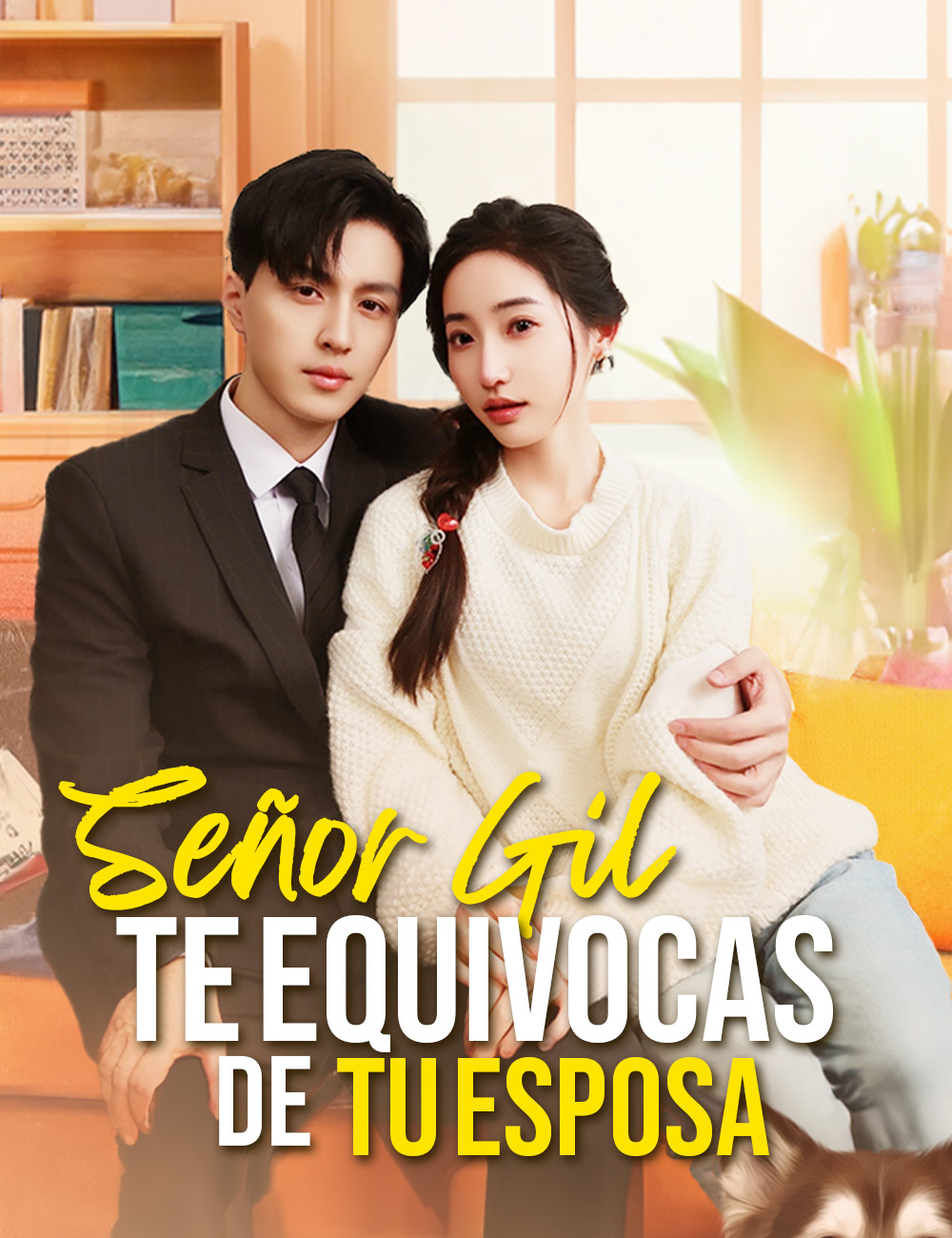 Señor Gil, Te Equivocas de Tu Esposa poster
