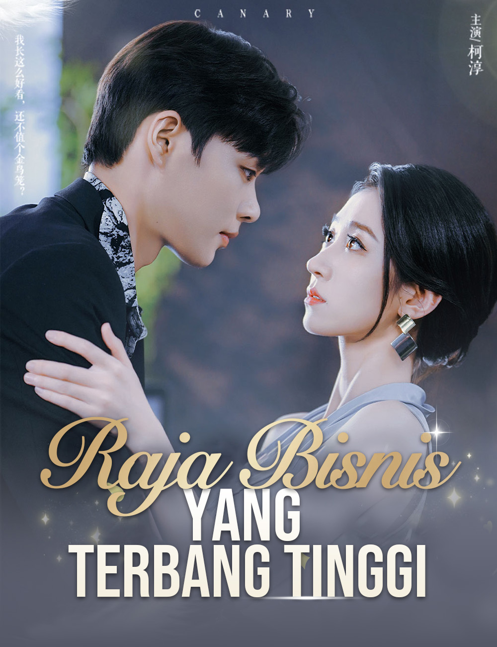 Raja Bisnis yang Terbang Tinggi poster - similar to A Modern Nurse in the Duke's Mansion