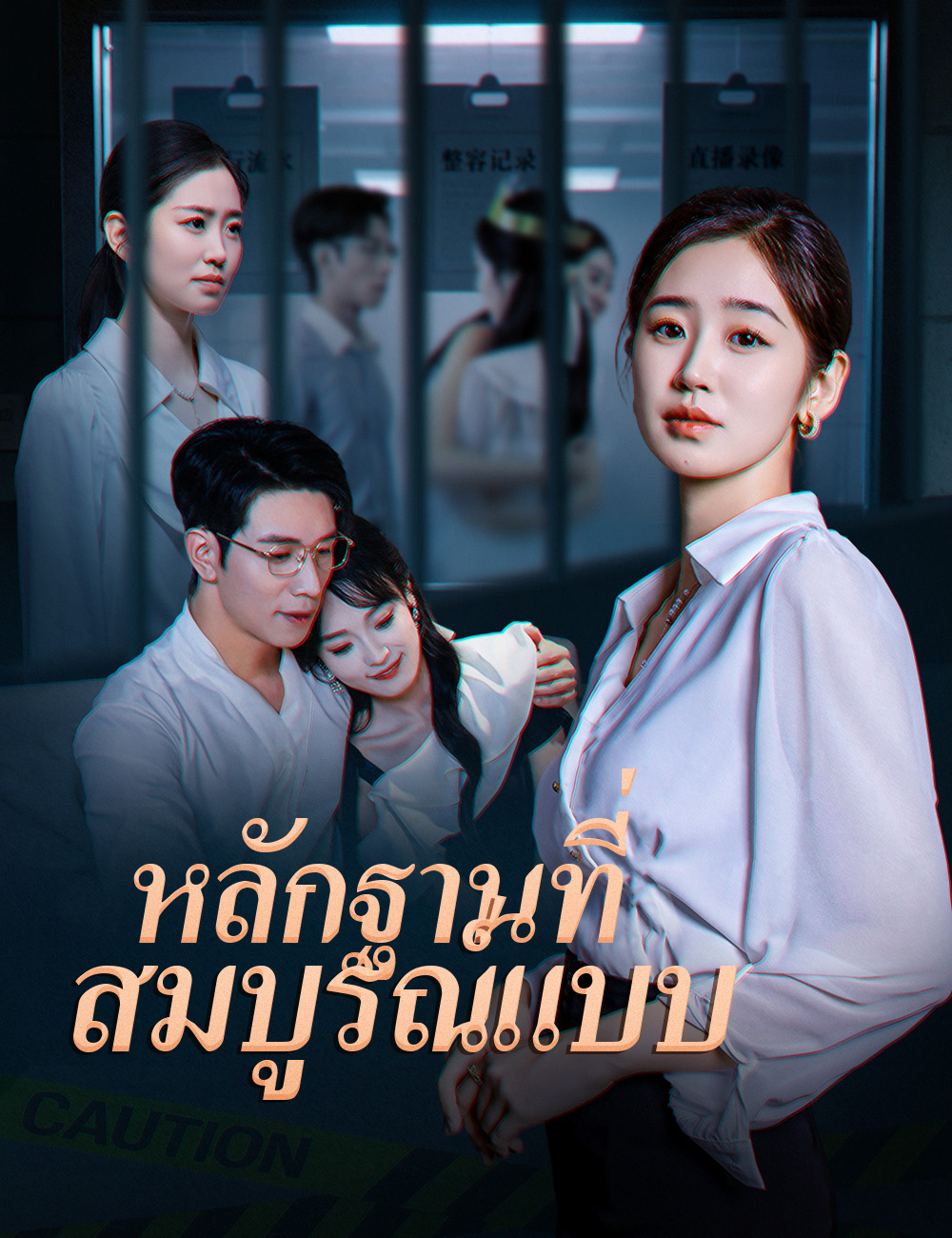 หลักฐานที่สมบูรณ์แบบ poster