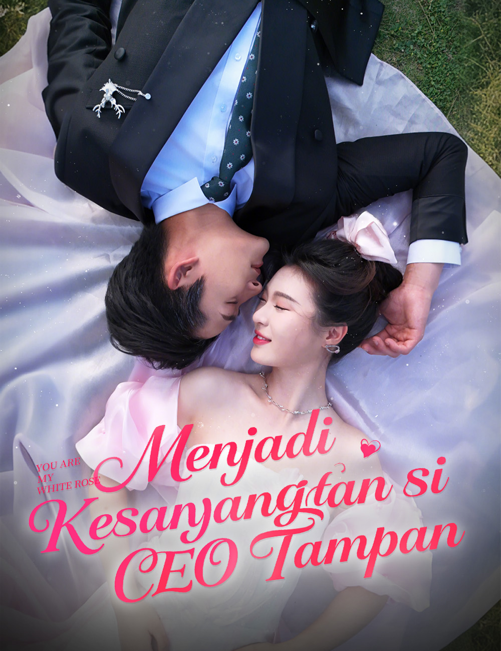 Menjadi Kesayangan si CEO Tampan poster