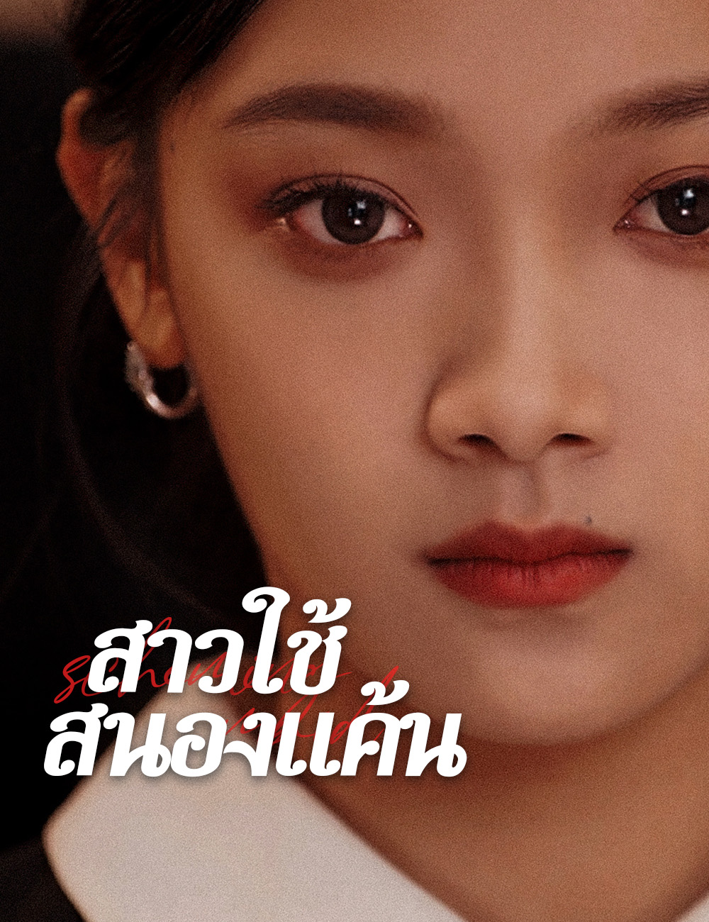 สาวใช้สนองแค้น poster