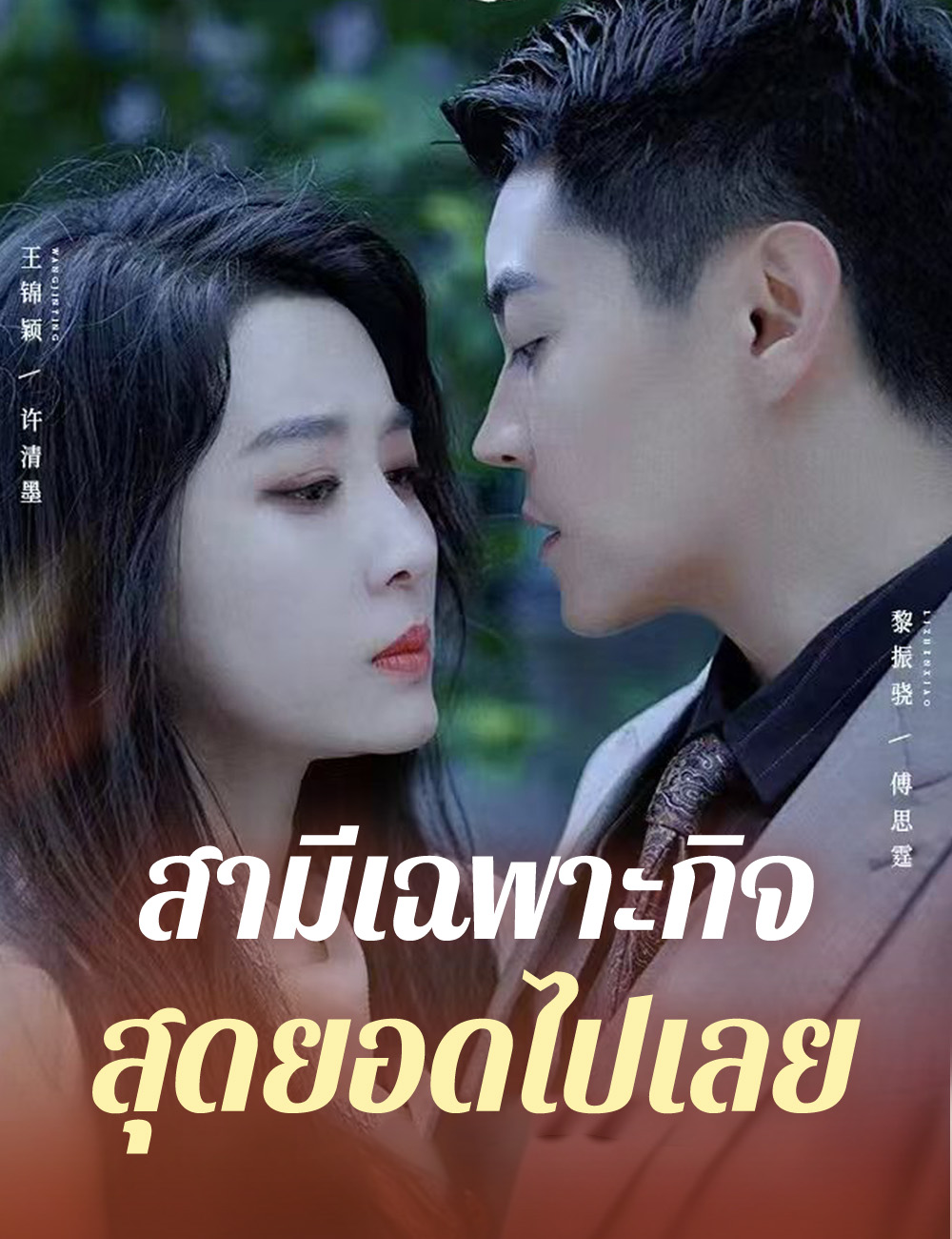 สามีเฉพาะกิจสุดยอดไปเลย poster