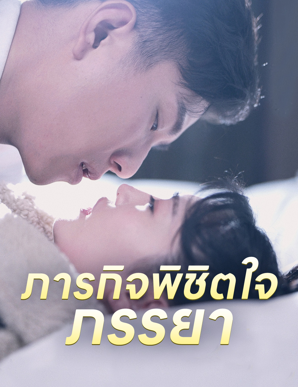ภารกิจพิชิตใจภรรยา poster