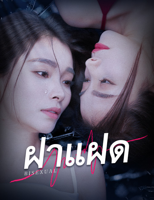 ฝาแฝด poster