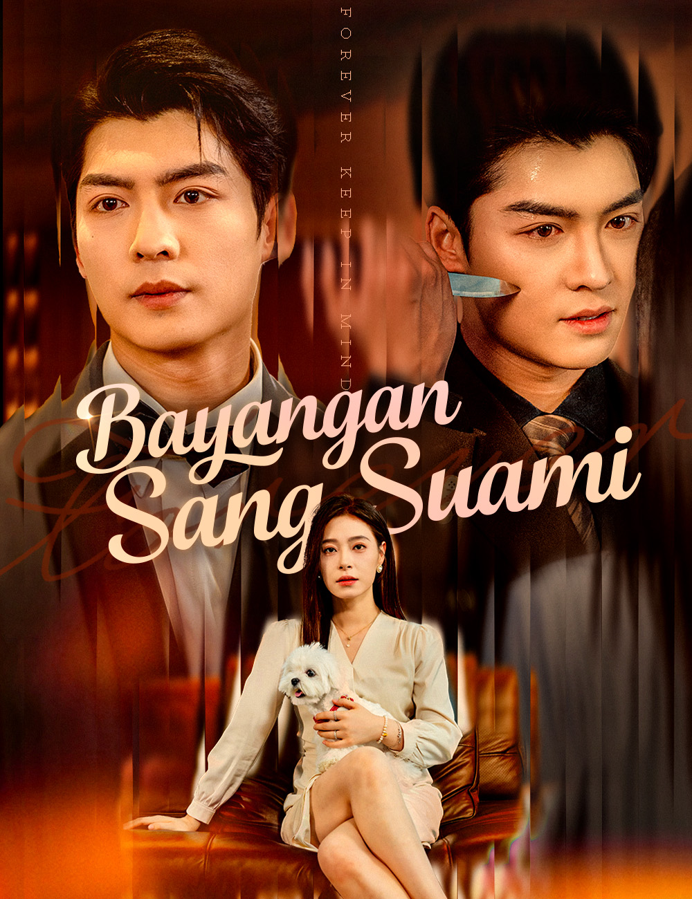 Bayangan Sang Suami poster