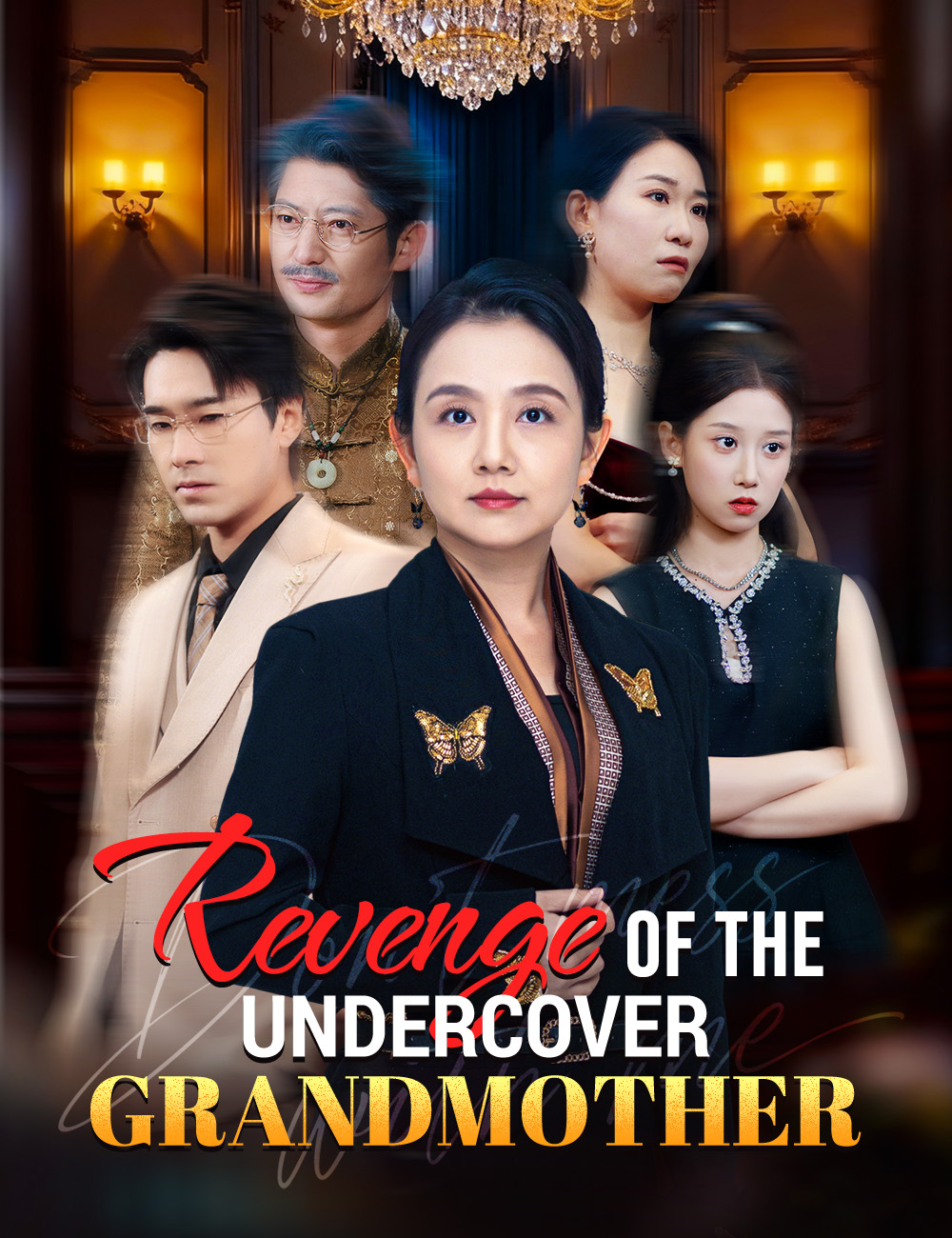 Revenge of the Undercover Grandmother poster