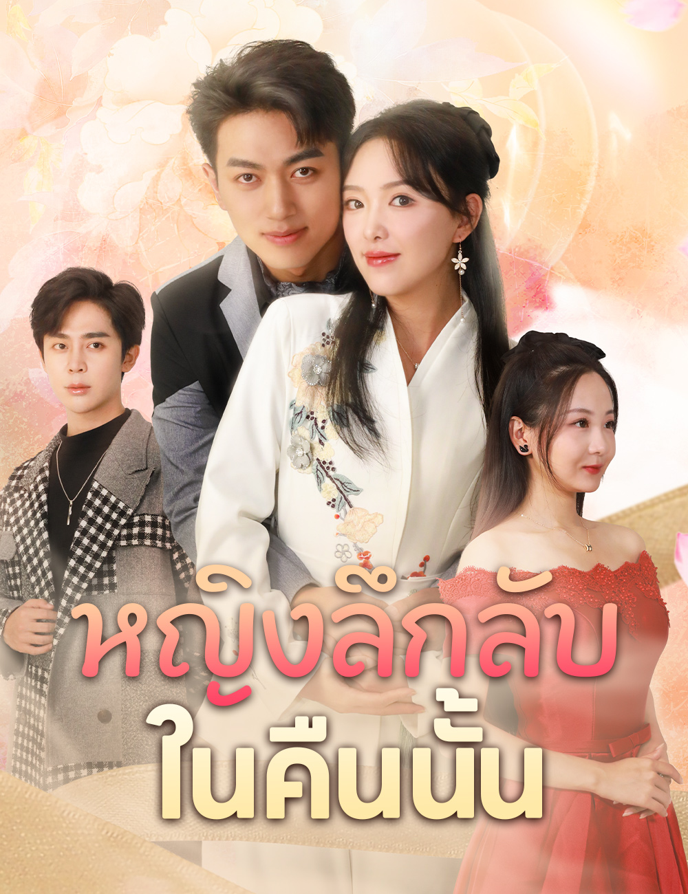 หญิงลึกลับในคืนนั้น poster