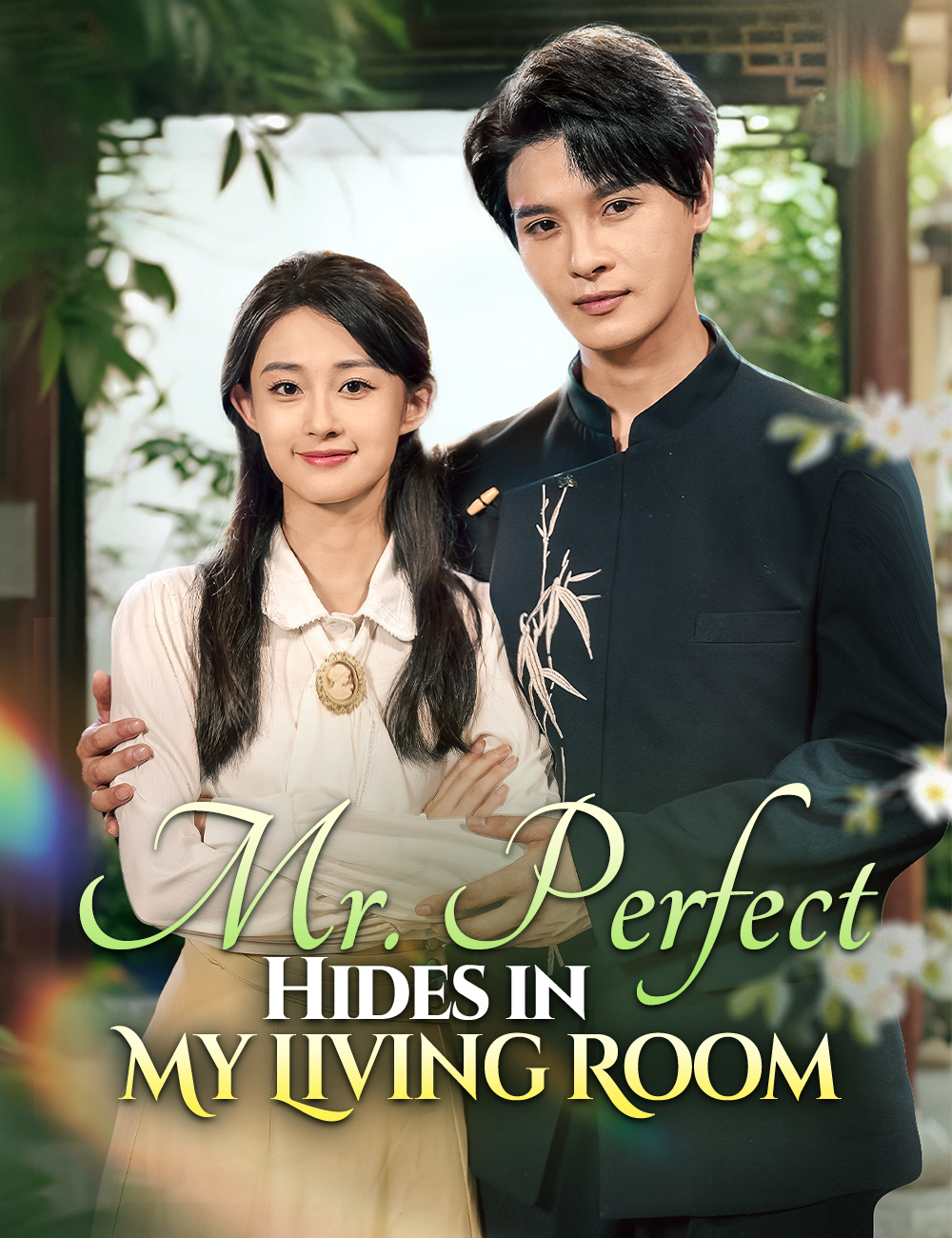 Mr. Perfect Hides in My Living Room poster