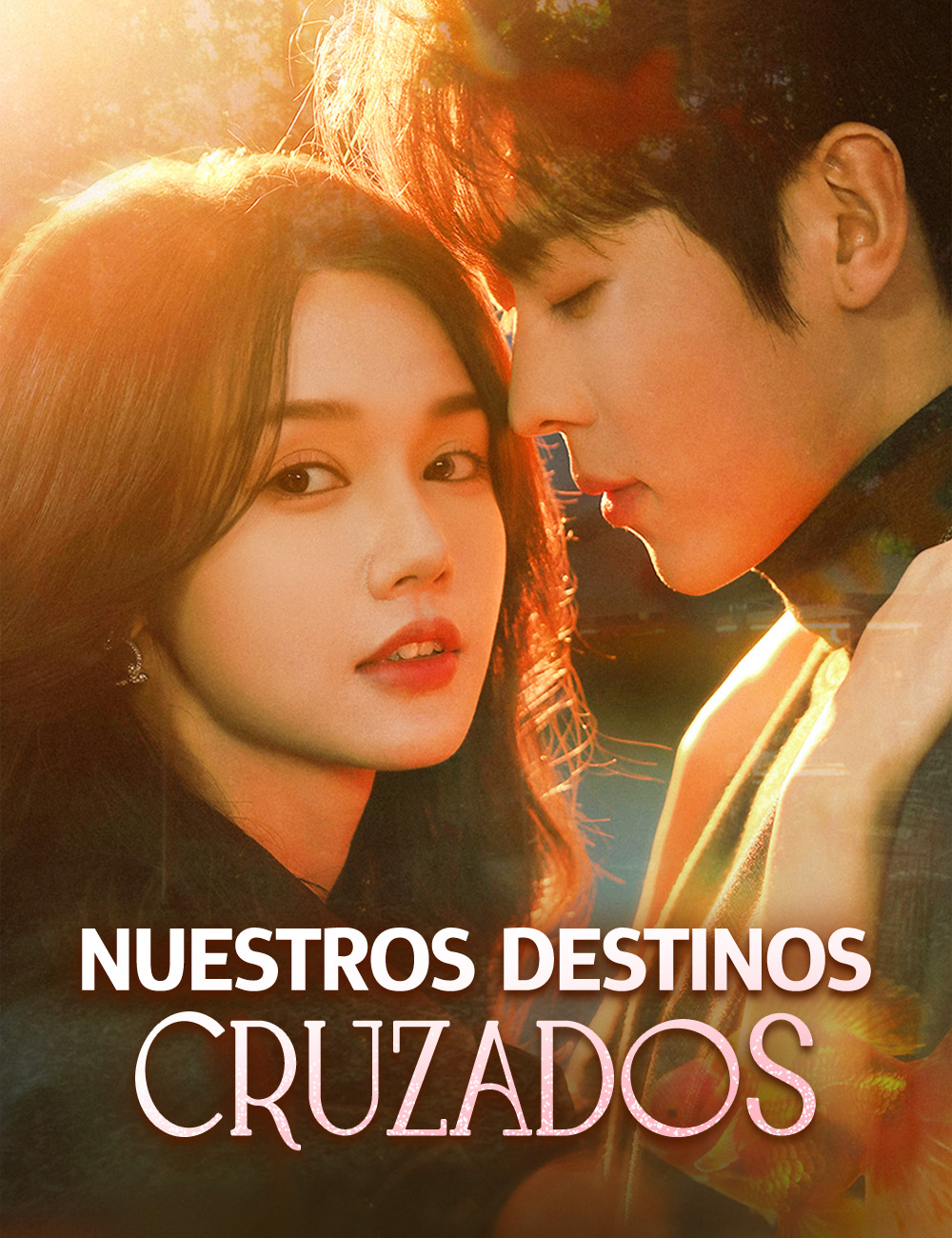 Nuestros destinos cruzados poster
