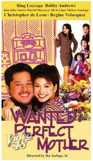 Wanted: Perfect Mother