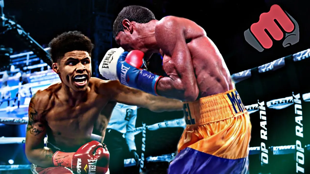 How SHAKUR STEVENSON Put The Boxing World On Notice background