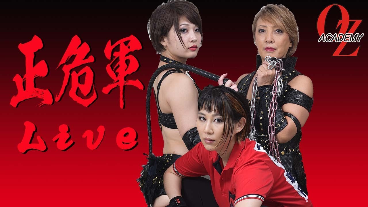 【公式】正危軍Live background