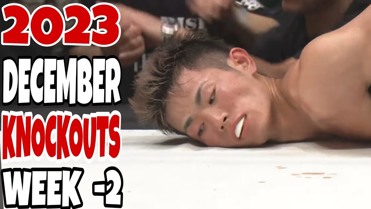 MMA & Boxing Knockouts I December 2023 Week 2 background