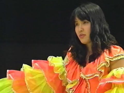 全日本女子プロレス みなみ鈴香引退メモリアルマッチ みなみ鈴香、堀田祐美子 vs 三田英津子、下田美馬 〜 北斗晶、みなみ鈴香 vs ブル中野、堀田祐美子1995年5月7日 後楽園ホール background