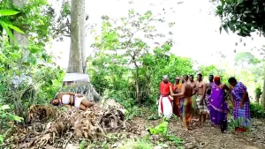 How D Poor Maiden Who Was Thrown Inside D Evil Forest To Die Got Saved By D Gods