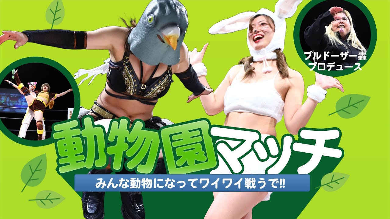 動物園マッチ!澄川菜摘&才原茉莉乃vs後藤智香&CatMASK calico -ブルドーザー轟プロデュース - background