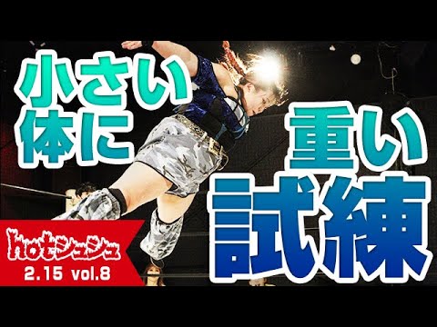 hotシュシュ vol.8(2025/2/15)ダイジェスト