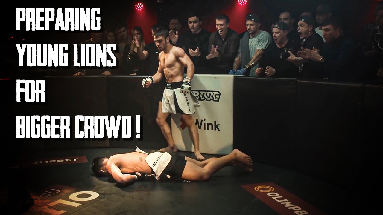 Best Fights of TOP DOG PROSPECT 1 ! background