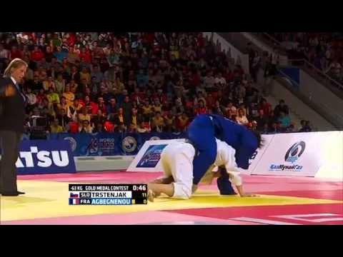 Tina Trstenjak vs Clarisse Agbegnenou World Judo Championships 2015 background