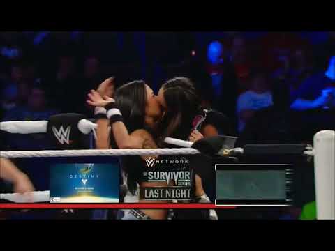 WWE RAW Brie Bella w/ Nikki Bella Vs Aj Lee November 24, 2014