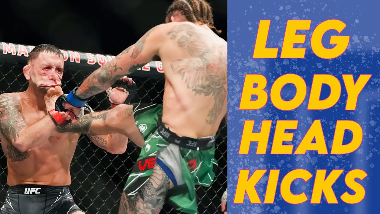 Leg Kick KOs, Body Kick KOs, & Head Kick KOs in UFC/MMA