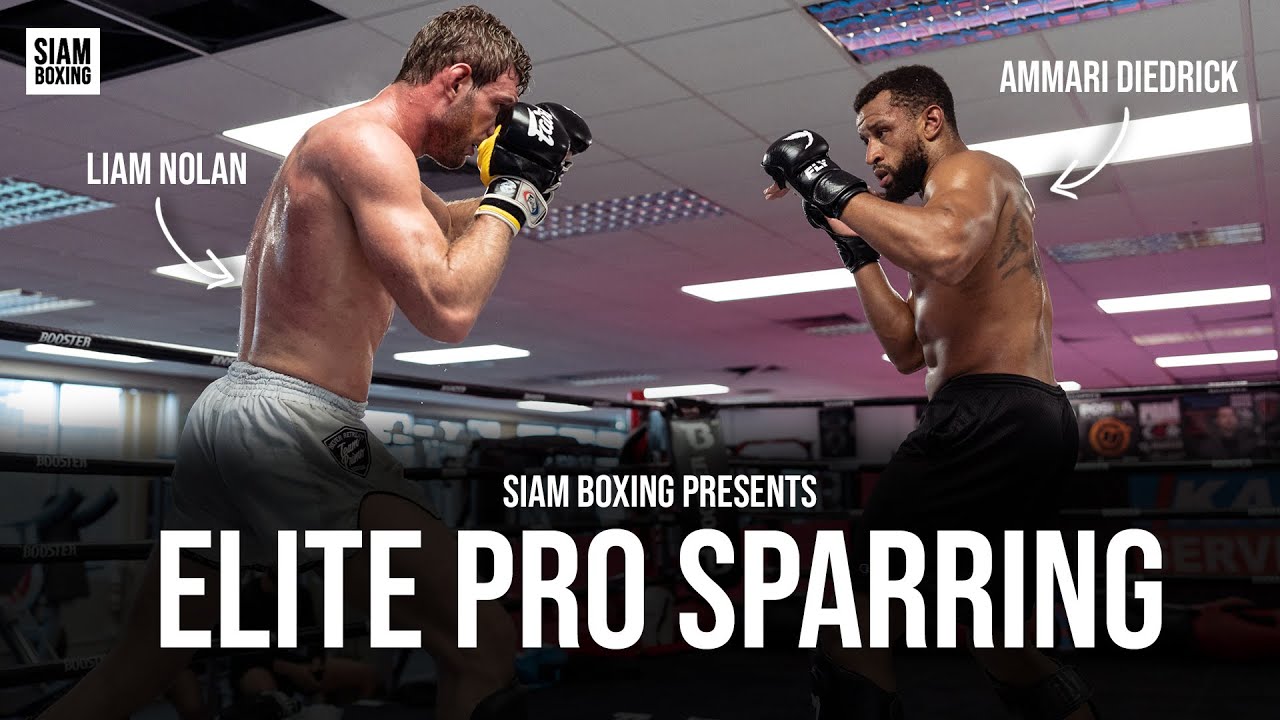 Elite Pro Sparring - Ft Liam Nolan, Ammari Diedrick - 4DMMA background