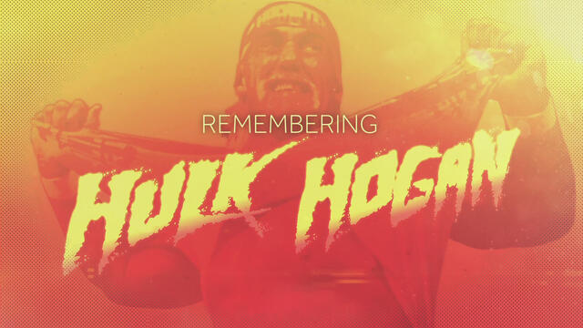Hulk Hogan’s career highlights background