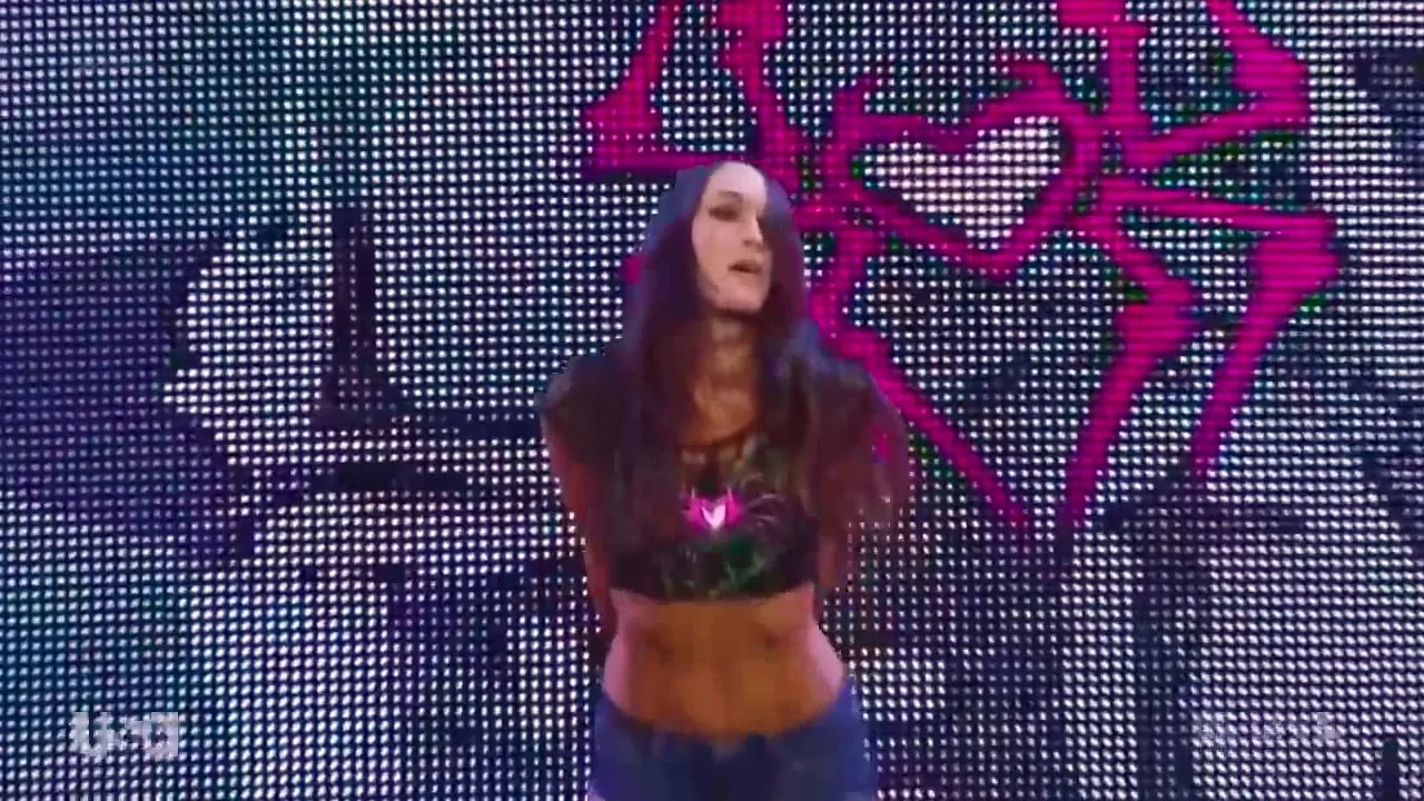 WWE RAW Nikki Bella Vs Brie Bella 2014 background
