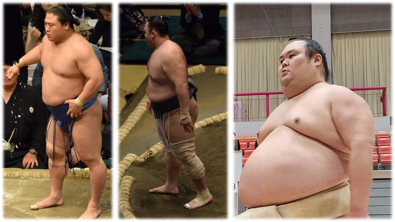 Wakatakakage seeks more history; Asanoyama inspired; wrestler injury updates (Sumo News, Aug 23rd)