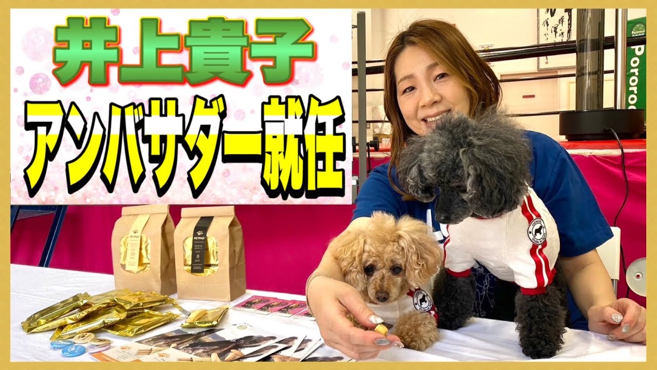 【井上貴子、母になる】ワンコ用おやつのアンバサダーに就任!【紅緒と柊音】 background