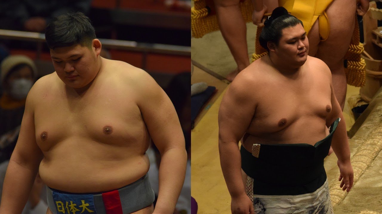 Yokozuna Onosato: The journey up close