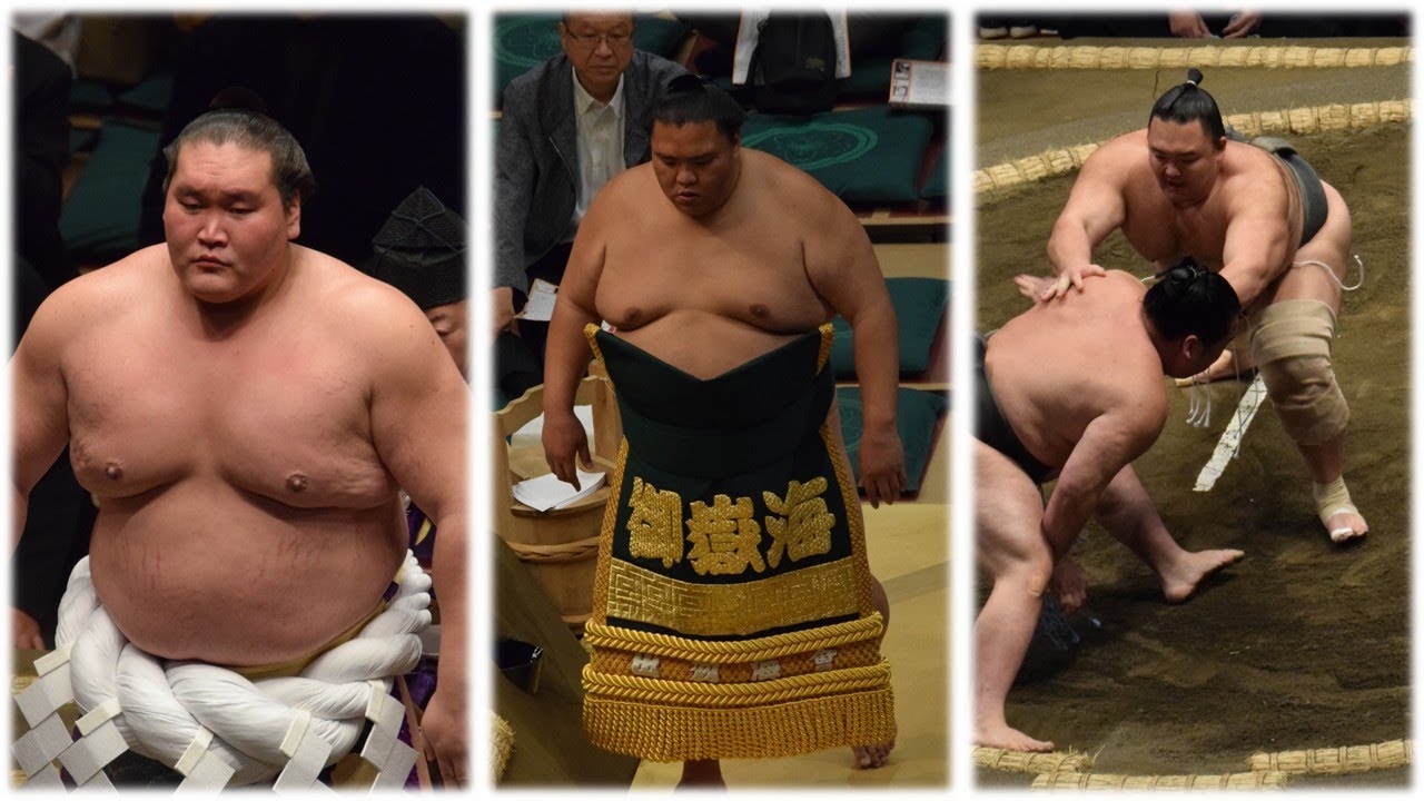 Terunofuji becomes Isegahama + Mitakeumi draws laughs (Sumo News, Jun 10th)
