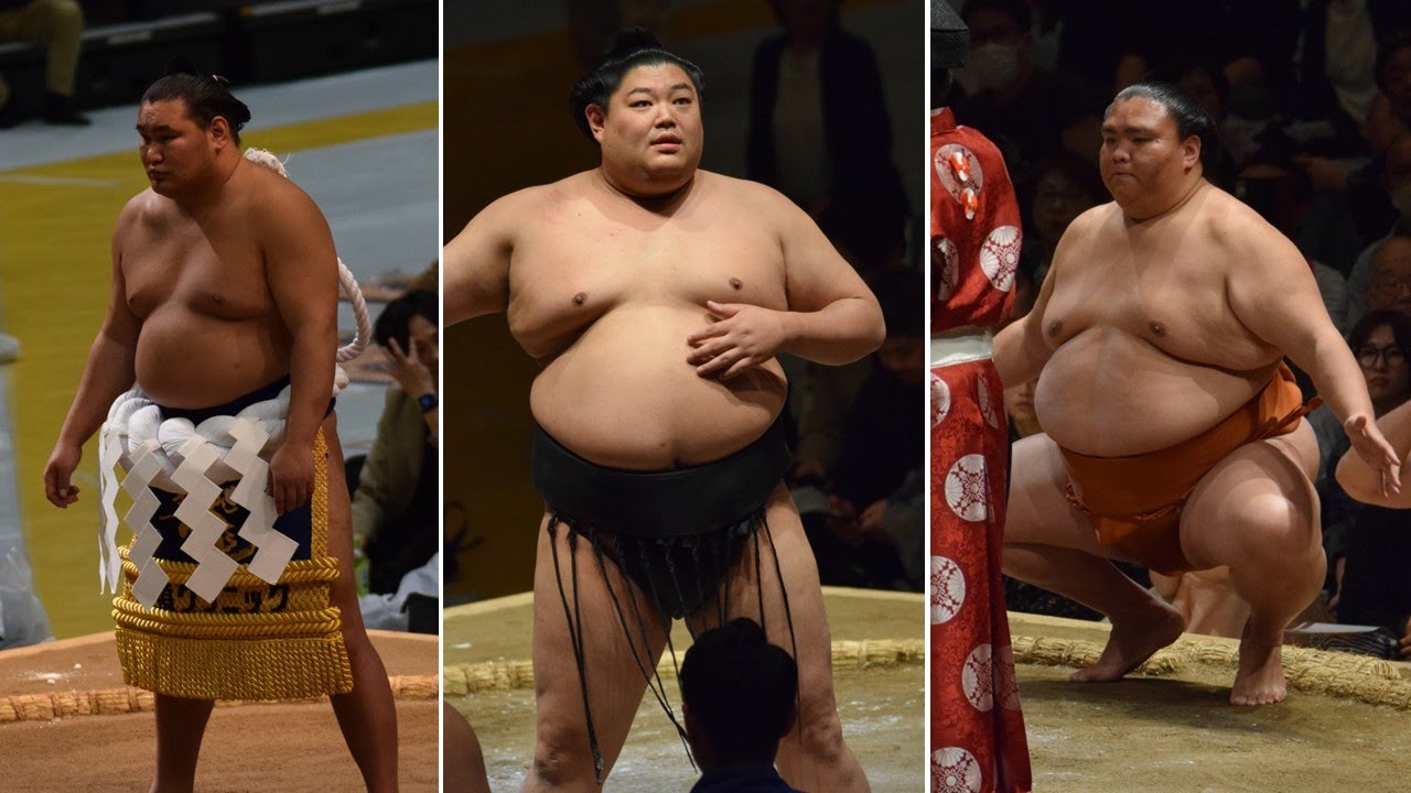 Hoshoryu rules All-Stables Practice; Mitakeumi shows new hunger (Sumo News, My 3rd)