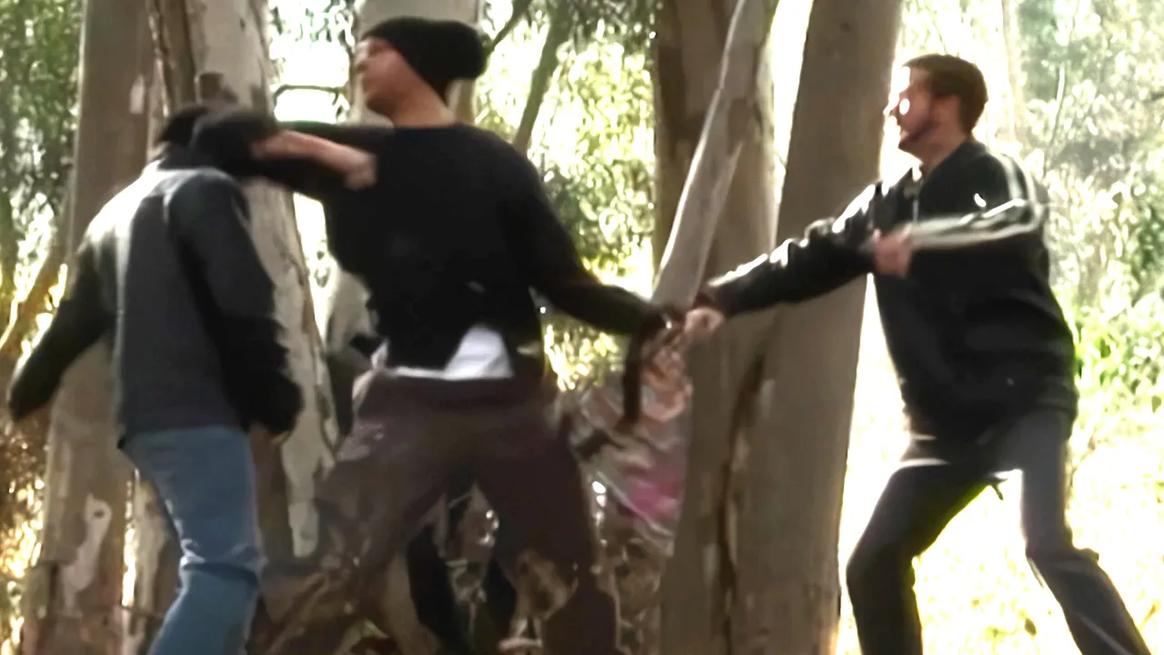 Karate Master vs 2 Bad Guys | Martial Arts Fight Scene | Dominic Sherman vs Tim Eakley, Micah Brock background