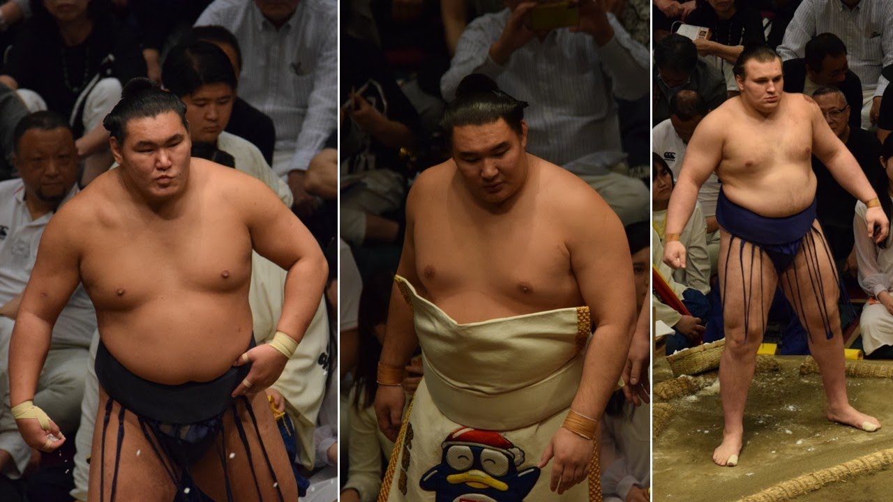 Hoshoryu "almost feels TOO good"; Onosato "moves like no other 190-kg guy" (Sumo News, Jul 10th)