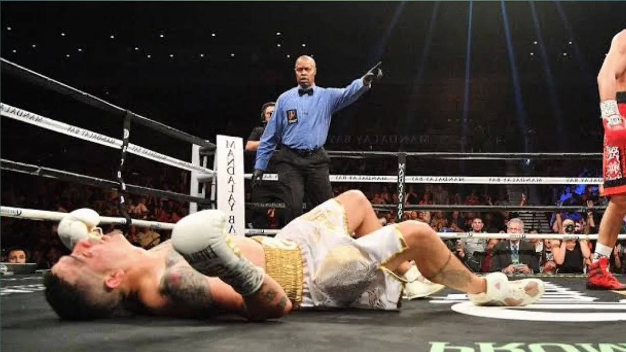 Roman Gonzalez (Nicaragua) vs Brian Viloria (USA) Full Highlights - TKO - Boxing Fight