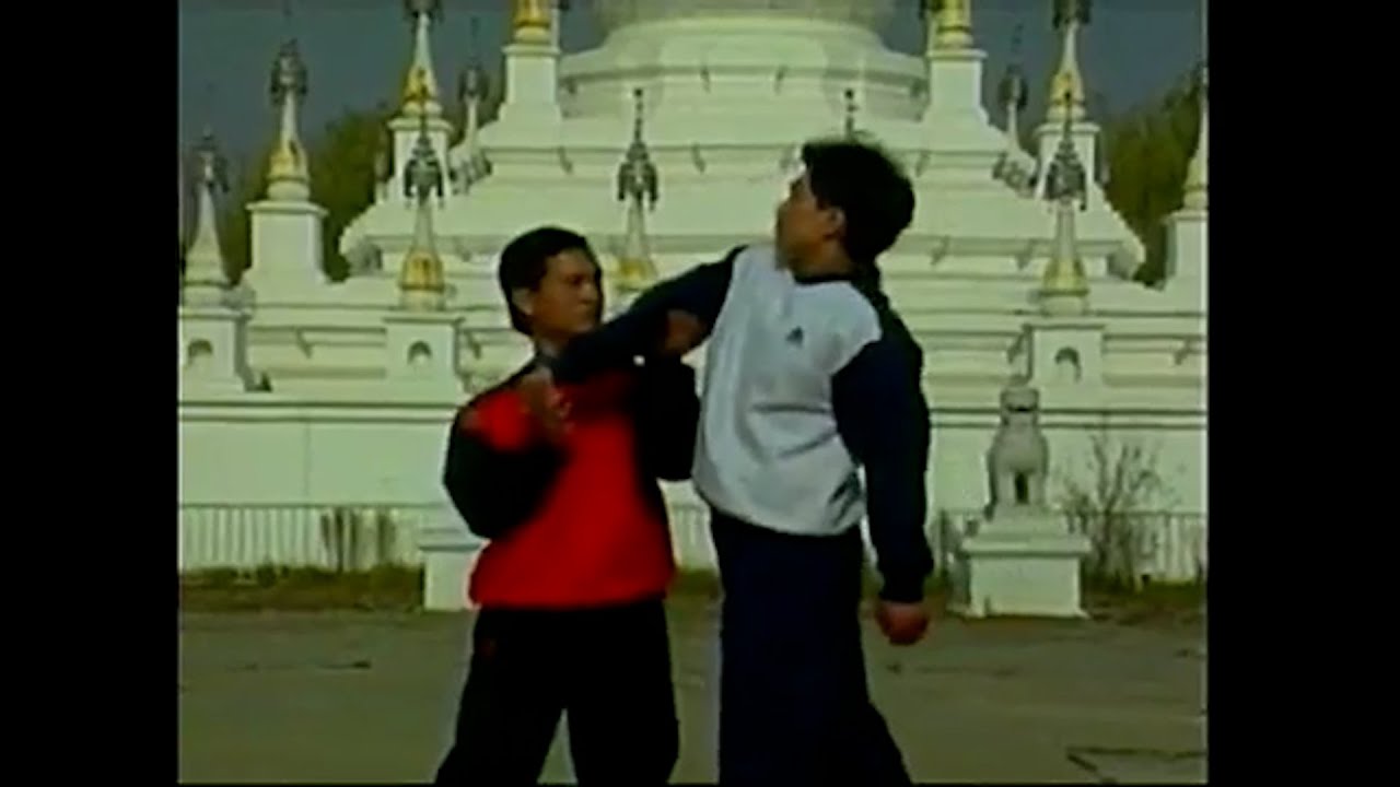 Kungfu Qinna Joint Lock Techniques (Small Joint Manipulations)