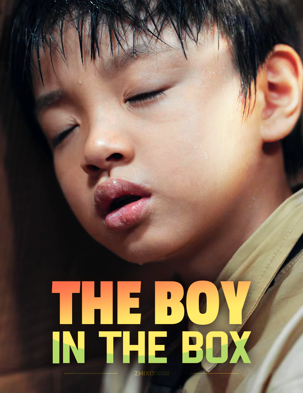 The Boy in the Box poster