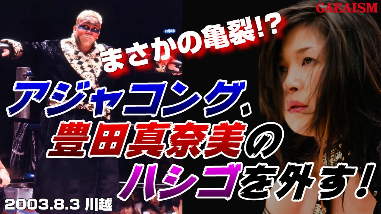 【女子プロレス GAEA】 豊田真奈美、ハメられた…!? アジャコング vs 尾崎魔弓 2003年8月3日 川越ペペホール background