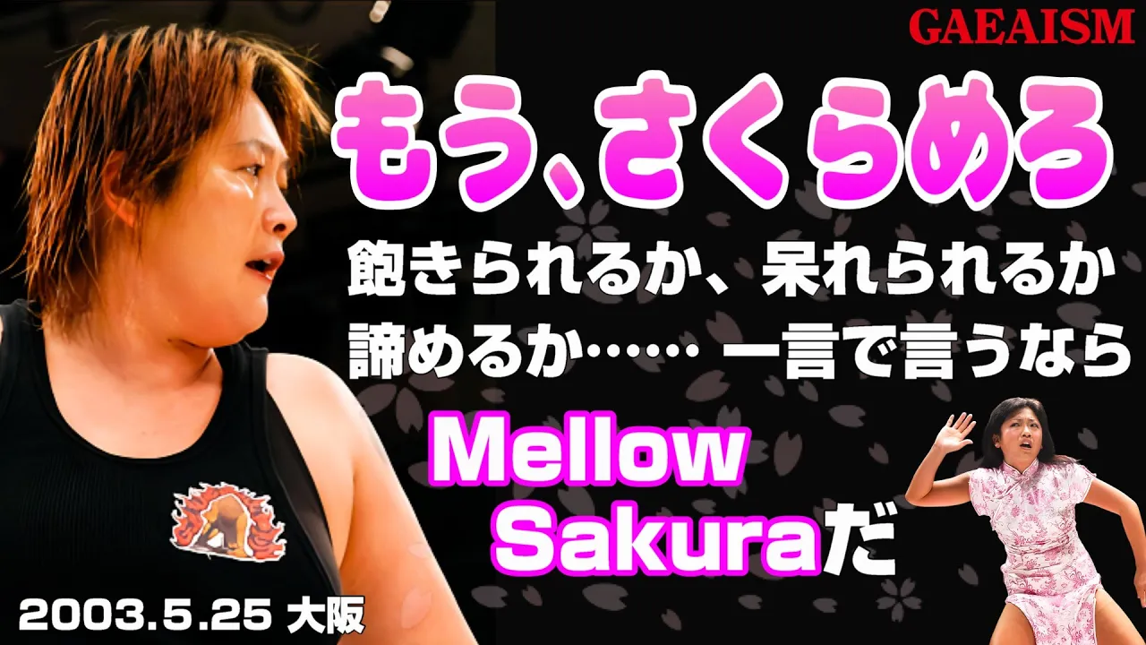 【女子プロレス GAEA】広田さくら & ダイナマイト・関西 vs 長与千種 & 山田敏代 2003年5月25日 大阪ドームスカイホール background