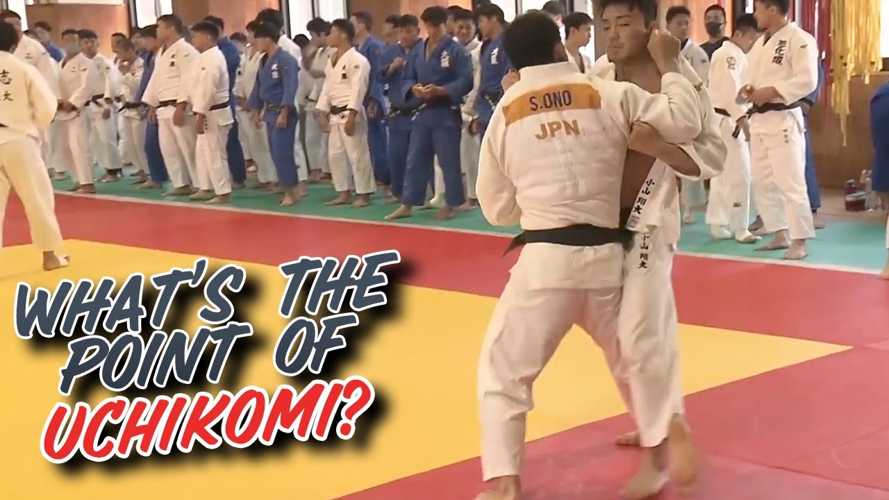 What's The Point of Doing Uchikomi