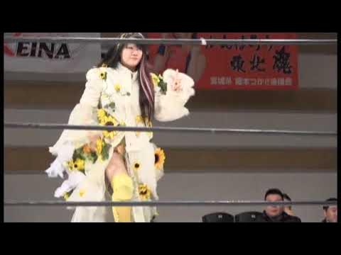 期間限定▶興行一気見!レッスルマリンピアード 2015 REINA女子プロレス LADYS RING Joshi Pro-wrestring background