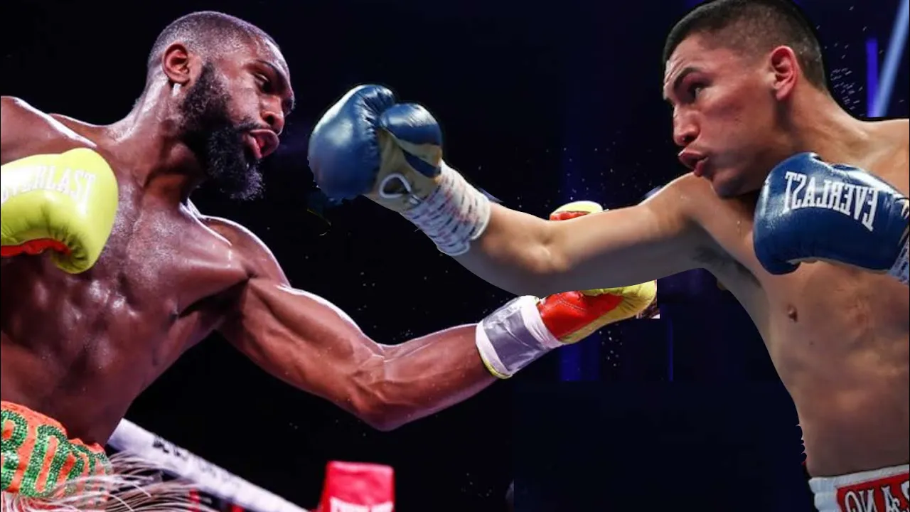 The Best Fight In Boxing