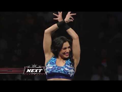 WWE Superstars: 11/18/2010 Melina & Gail Kim vs Alicia Fox & Maryse