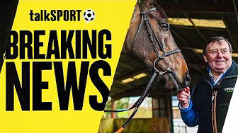 talkSPORT REACTS to Constitution Hill being RULED OUT of the Cheltenham Festival!