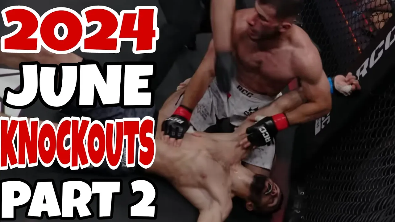 MMA & Boxing Knockouts I June 2024 Part 2