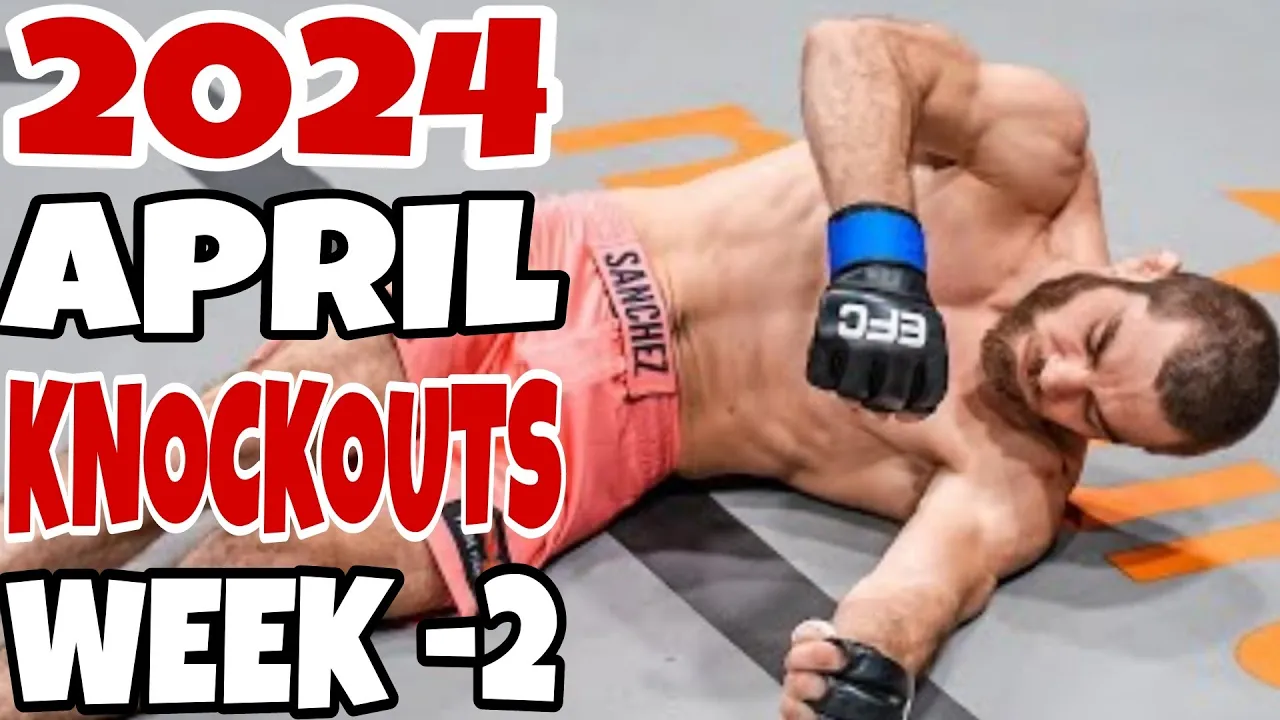 MMA & Boxing Knockouts I April 2024 Week 2