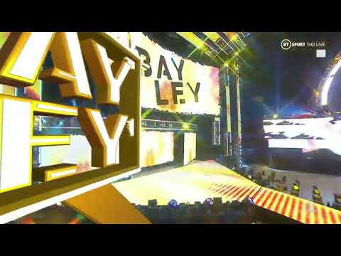 Bayley Full Segment
